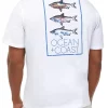 Budget 🎉 Ocean + Coast® Big & Tall White Fish Graphic T-Shirt 🛒